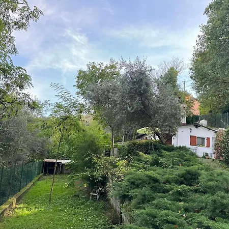 Con Giardino A Monteluce
