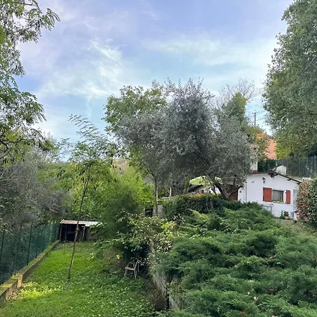 Casetta Con Giardino A Monteluce